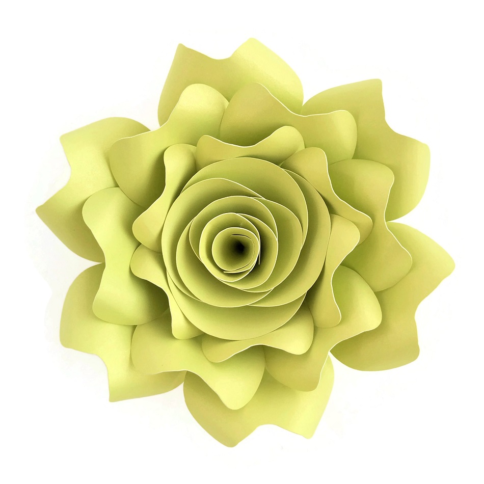 2018 DIY Paper Flowers 15CM Pa - Baby Nursery Videos reseña y precio